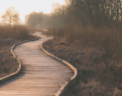 Winding Road